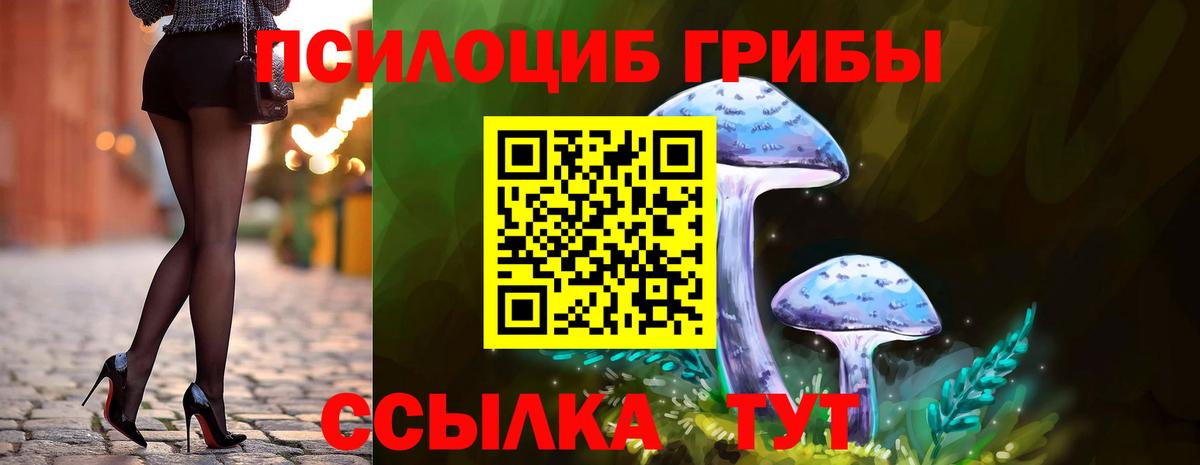 Галлюциногенные грибы прущие грибы  где можно купить   Вязьма  Вход с VPN  Псилоцибиновые грибы GOLDEN TEACHER 